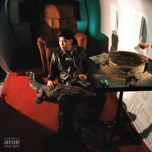 大鸡巴日化了我的小逼
